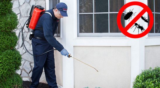 Kaynarca Kene İlaçlama böcek ilaçlama ve haşere kontrolü — ilaclama-tr.com